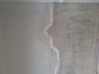 20250717_092951.jpg