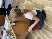 IMG_8266.jpeg