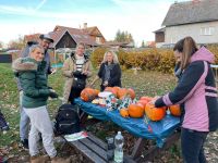 uspavani broucku (1).jpg