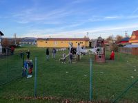 uspavani broucku (3).jpg